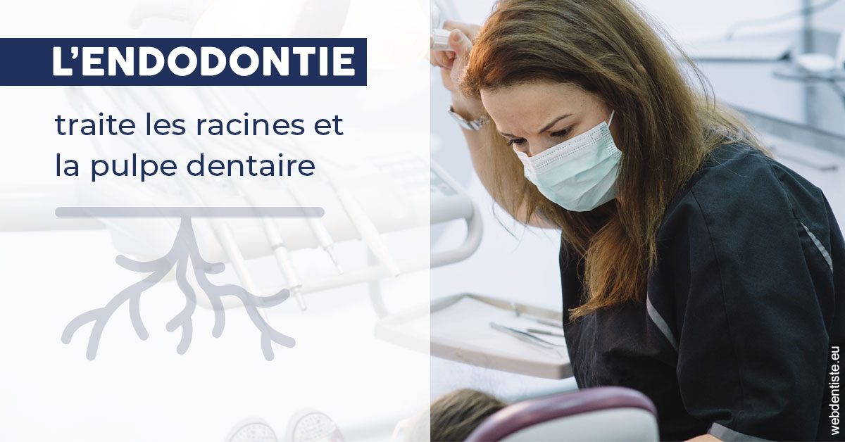 https://dr-alexandre-fevre.chirurgiens-dentistes.fr/L'endodontie 1