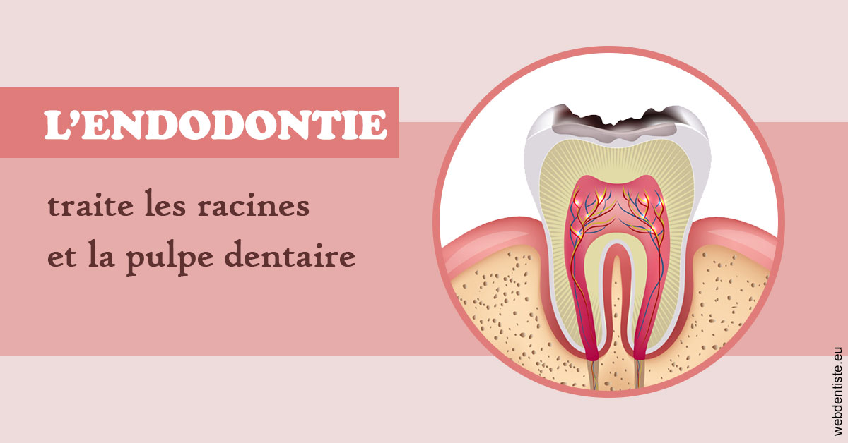 https://dr-alexandre-fevre.chirurgiens-dentistes.fr/L'endodontie 2