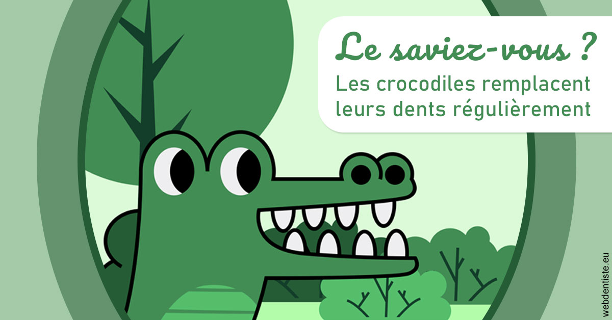 https://dr-alexandre-fevre.chirurgiens-dentistes.fr/Crocodiles 2